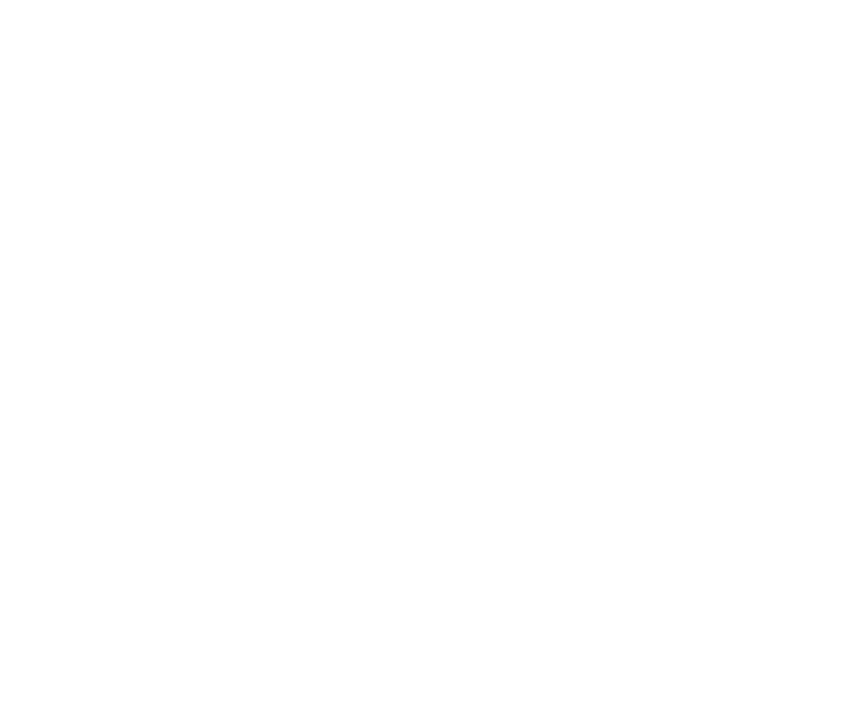 AXIM IMMIGRATION